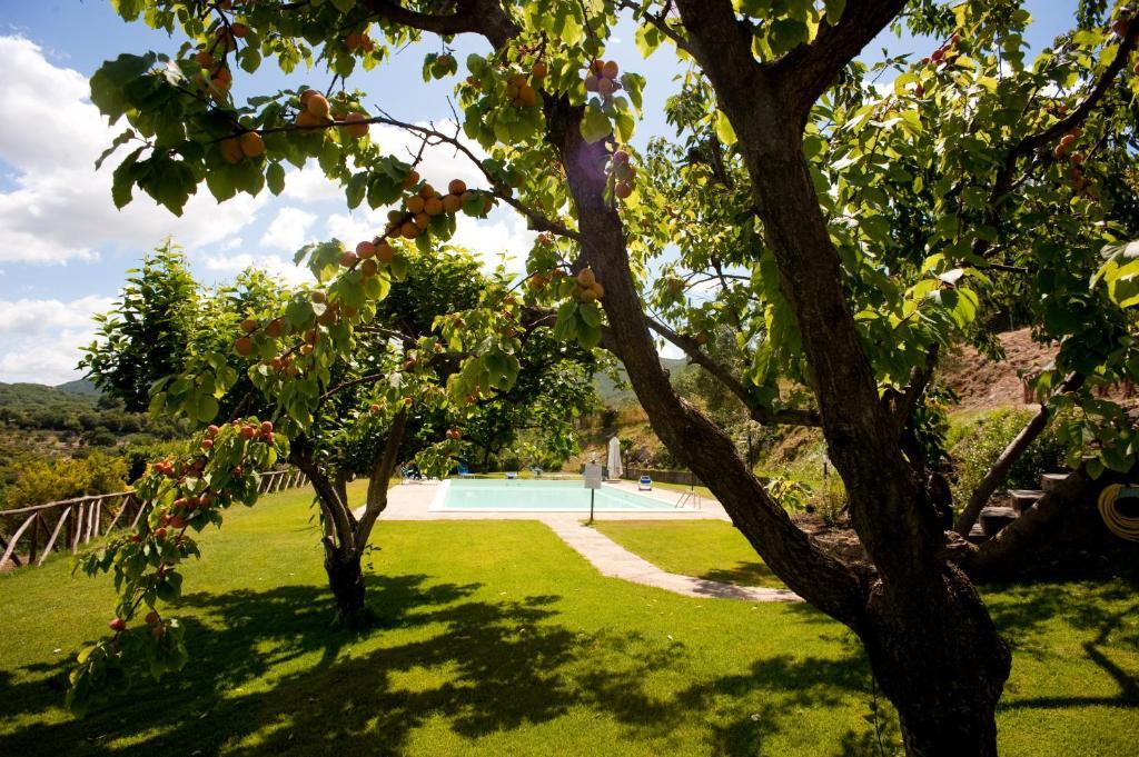 La Cianella - Adult Only Villa Scarlino Buitenkant foto